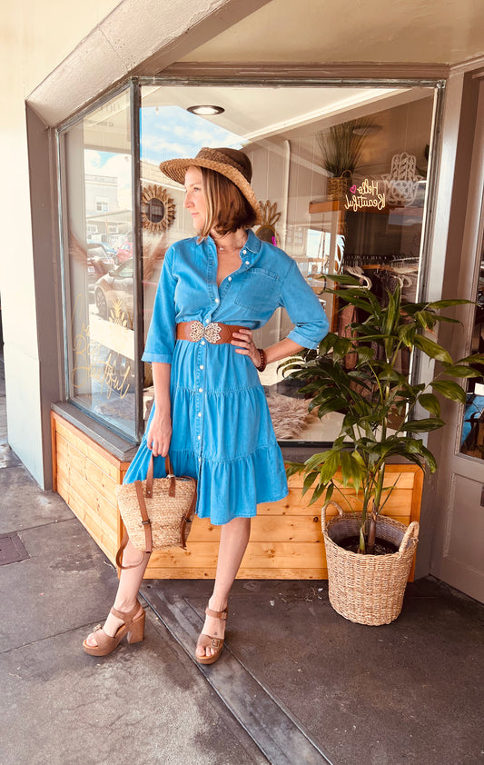 THE DENIM DRESS